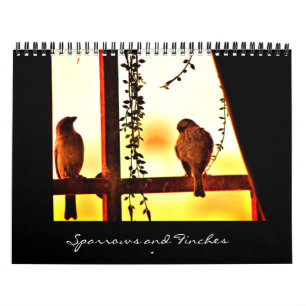 Sparrows and Finches Calendar