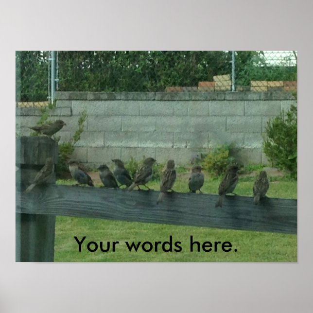 Sparrows Birds on a Rail Your Words Posters (Front)