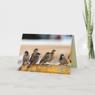 Sparrows Card