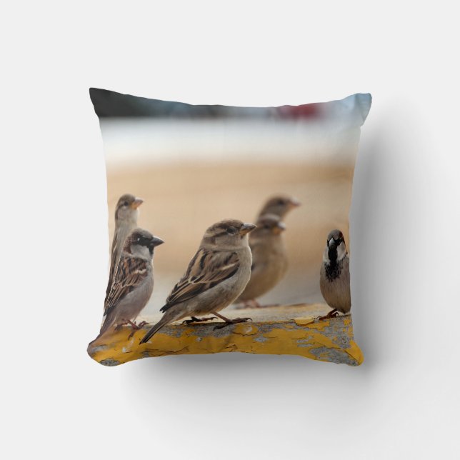 Sparrows Cushion (Front)