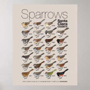 Sparrows of Santa Clara County Poster