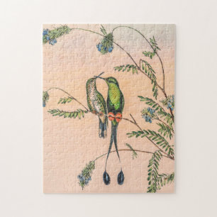 Spathura Peruana Hummingbirds by John Gould Jigsaw Puzzle