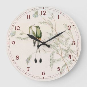Spathura Peruana Hummingbirds by John Gould Large Clock