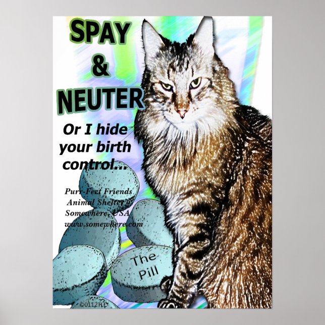 Spay and Neuter (Or I hide your birth control) Poster (Front)