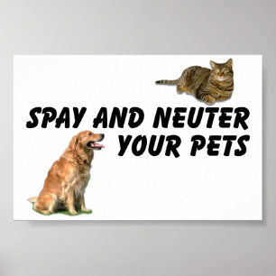 Spay and Neuter Poster