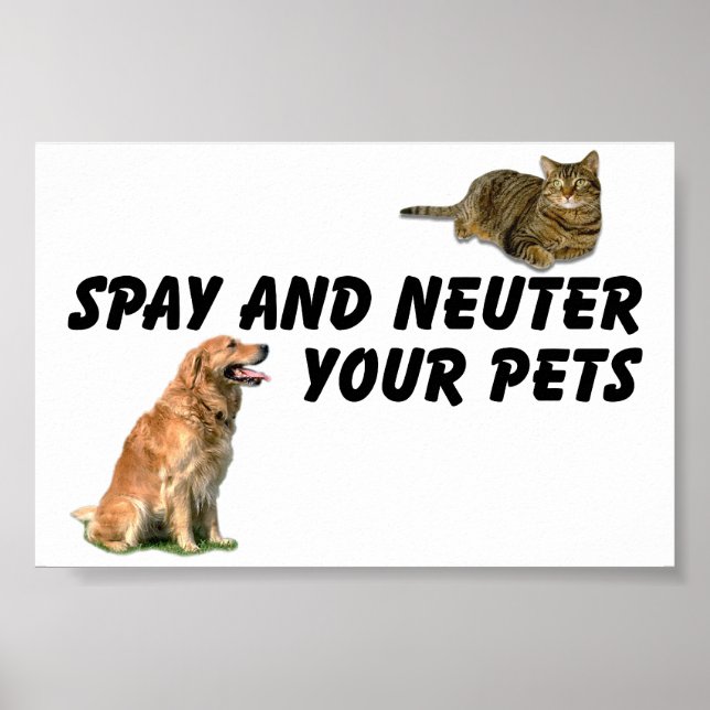 Spay and Neuter Poster (Front)