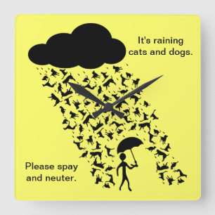"Spay and Neuter" Wall Clock