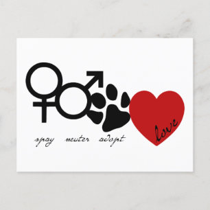 Spay-Neuter-Adopt-Love Postcard