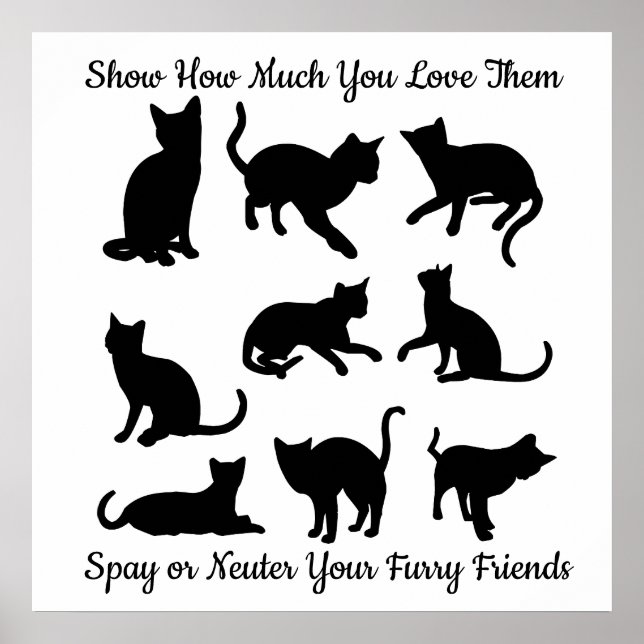 Spay or Neuter Poster (Front)