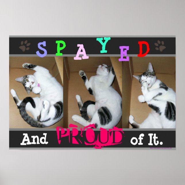 Spayed and Proud of It Poster (Front)