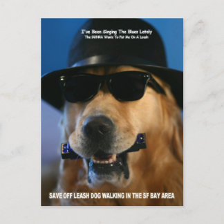 Speak Out For Off-Leash Dog Walking Senator Boxer Postcard