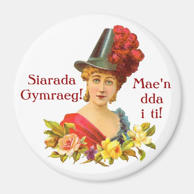 Speak Welsh! magnet (Front)
