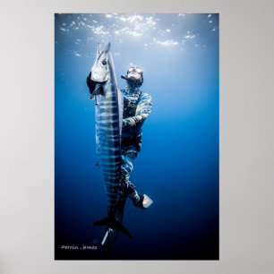 Spearfishing wahoo poster
