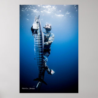 Spearfishing wahoo poster