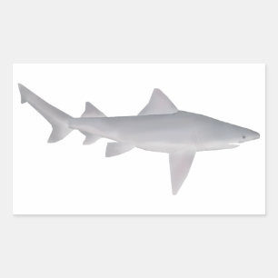 Speartooth Shark Rectangular Sticker