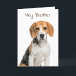 SPECIAL CARD FOR SPECIAL BROTHER'S BIRTHDAY<br><div class="desc">LET ***A VERY SPECIAL BROTHER*** KNOW (LIKE YOU PROBABLY ALWAYS DO) HOW MUCH HE MEANS TO YOU ON "HIS BIRTHDAY" THIS YEAR! AND,  THANK YOU SO MUCH FOR STOPPING BY ONE OF MY EIGHT STORES!!!!</div>