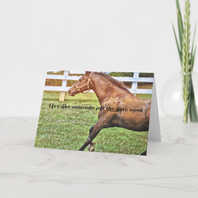 SPECIAL CONNEMARA Greeting Card (Front)