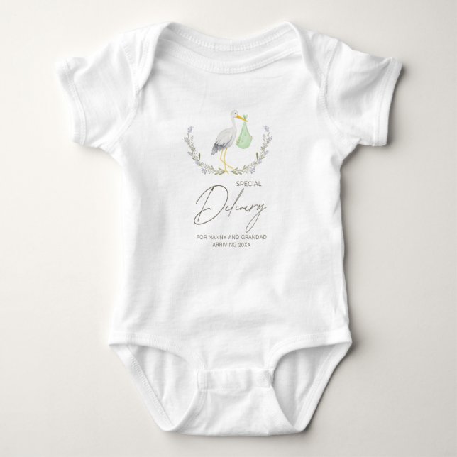  Special Delivery Baby Announcement, baby shower Baby Bodysuit (Front)