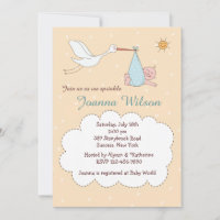 Special Delivery Baby Boy Sprinkle Invitations
