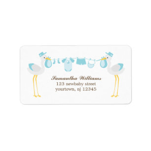 Special Delivery Boy Baby Shower Label