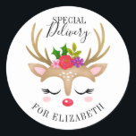 Special Delivery Christmas Cute Reindeer Face Classic Round Sticker<br><div class="desc">A cute reindeer face decorates this sticker with the words Special Delivery. Fun for decorating your girl's Christmas gifts. Personalise it with the name of your choice. Designed for you by Blackberry Boulevard.</div>