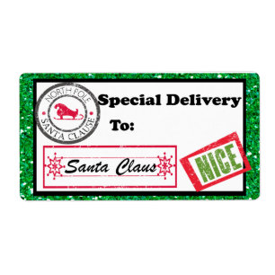 Special Delivery Christmas Package Label