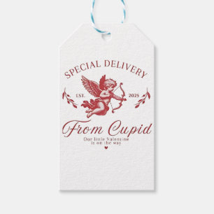 Special Delivery from Cupid Valentine Pregnant Mum Gift Tags