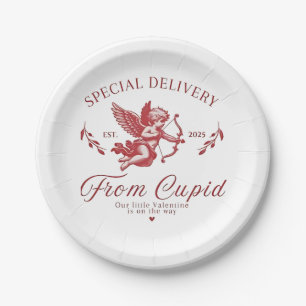 Special Delivery from Cupid Valentine Pregnant Mum Paper Plate