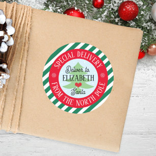Special Delivery From Santa Kids Christmas sticker