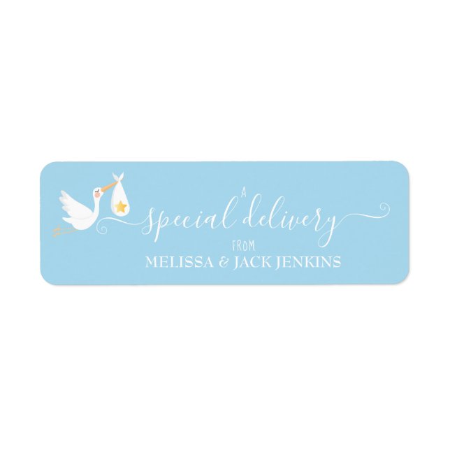 Special Delivery Stork Baby Blue Return Address Label (Front)