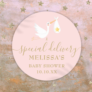 Special Delivery Stork Baby Girl Pink Shower Classic Round Sticker