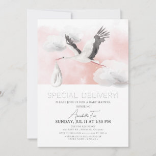Special Delivery Stork Girl Baby Shower Invitation
