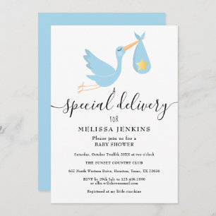 Special Delivery Stork Star Baby Shower Sprinkle Invitation