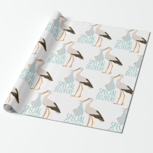 Special Delivery Stork Wrapping Paper