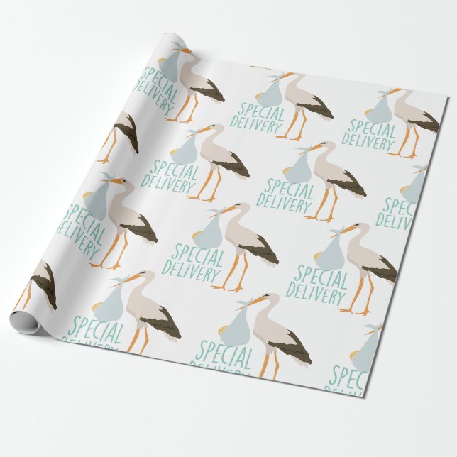Special Delivery Stork Wrapping Paper (Unrolled)