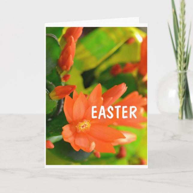 **SPECIAL EASTER WISHES TO YOU*** CARD (Front)