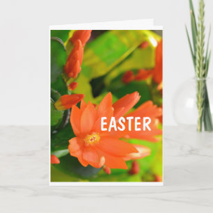 **SPECIAL EASTER WISHES TO YOU*** CARD