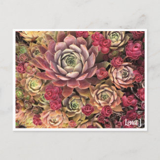 Special Edition Lena J Postcard