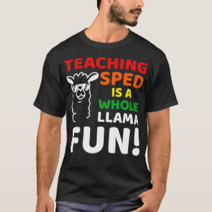 Special Education Inspired SPED Teacher Quote _40  T-Shirt
