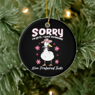 Special Education Teacher - Funny Goose Sayings Ceramic Ornament