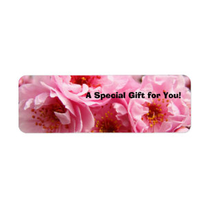 Special Gift for You! sticker labels Pink Blossoms