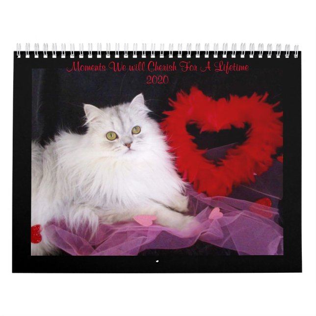 Special moments calendar from iCatz (Cover)