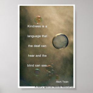 Special Needs Kindness is a Language Poster