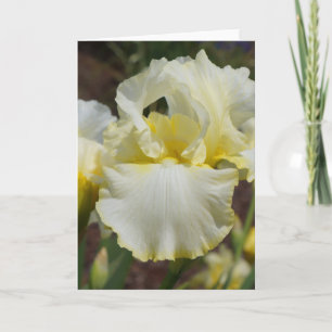 Special Ocassion Greeting Cards Flowers custom