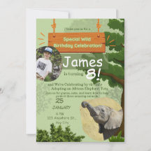 special wild adoption birthday celebration