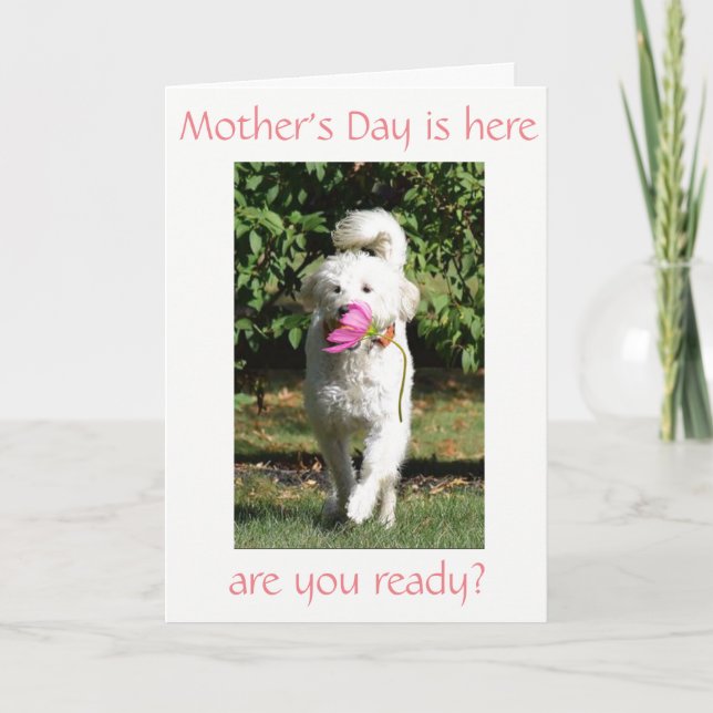 SPECIAL WISH FOR ***MOM*** ON MOTHER'S DAY CARD (Front)