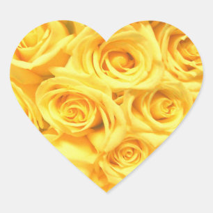 Special Yellow Roses Heart Sticker