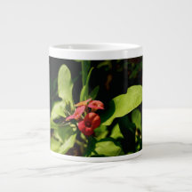 Speciality Mug