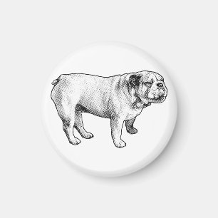 speck calm, bulldog magnet
