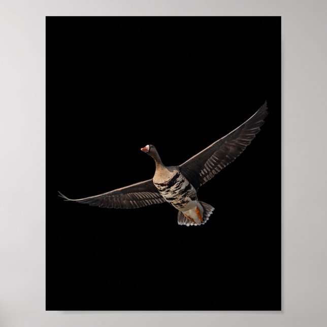 Specklebelly Goose Shirt White Fronted Goose Byr B Poster (Front)